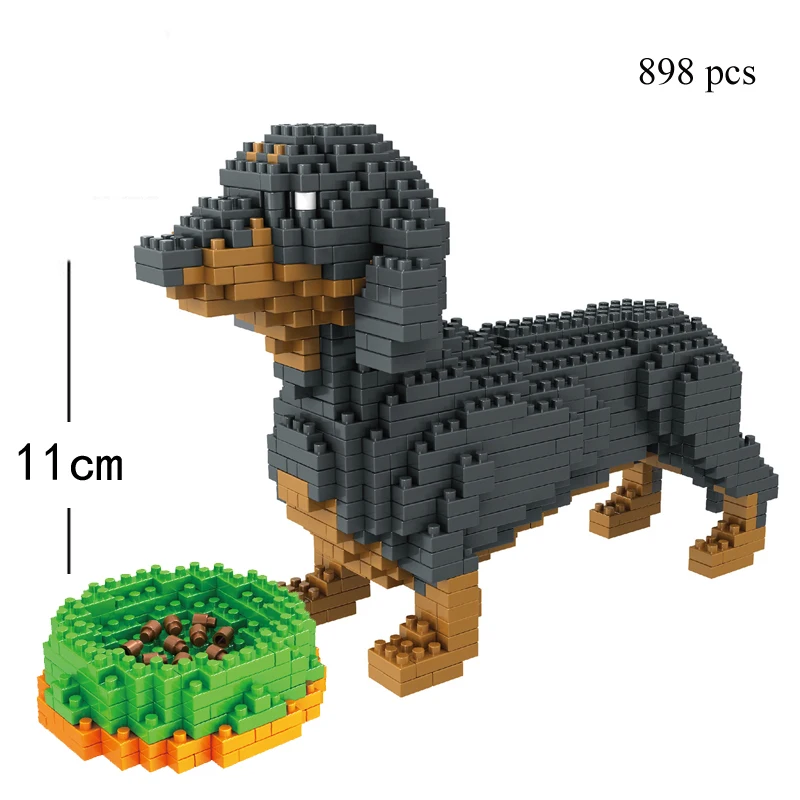 dachshund-dog