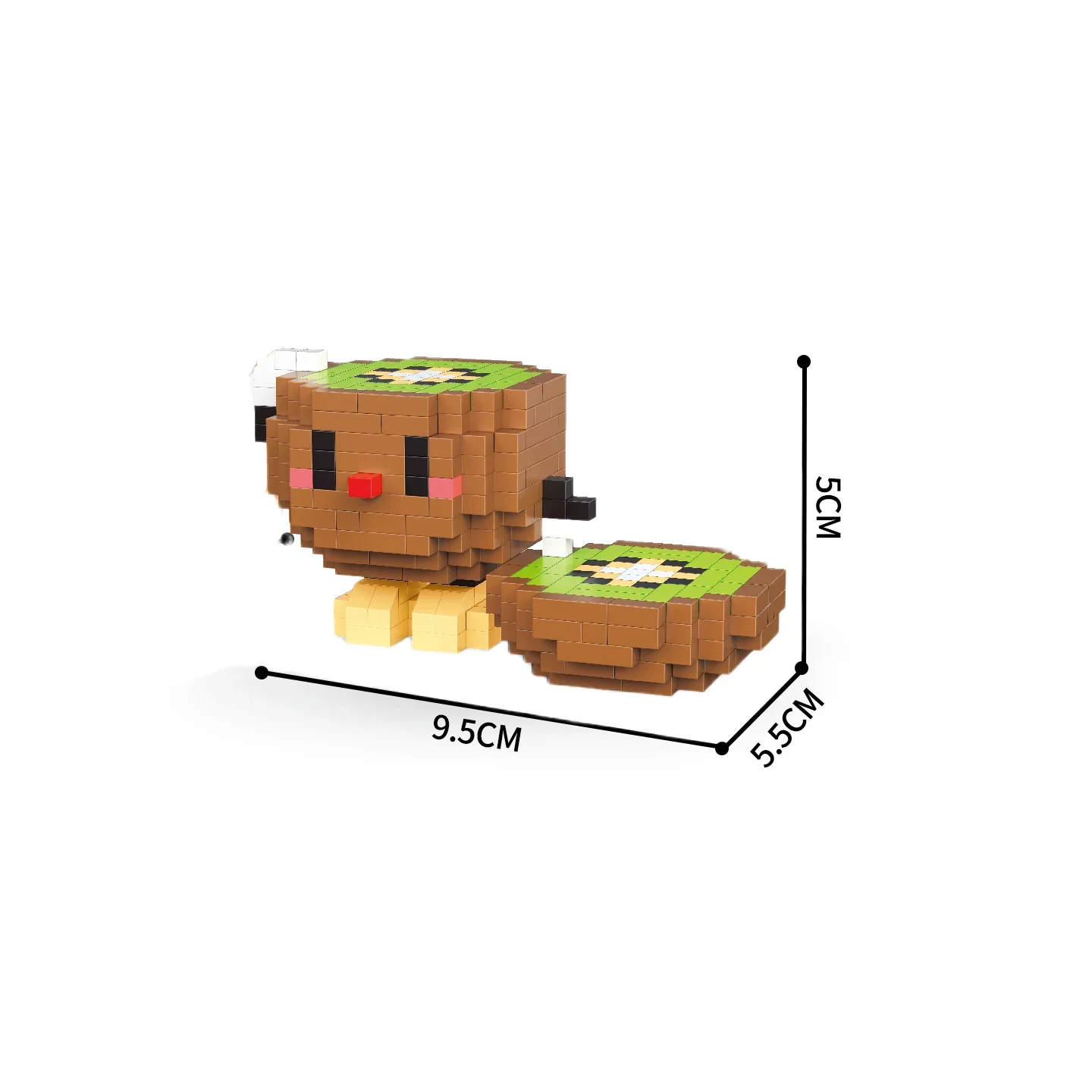 kiwifruit-blocks