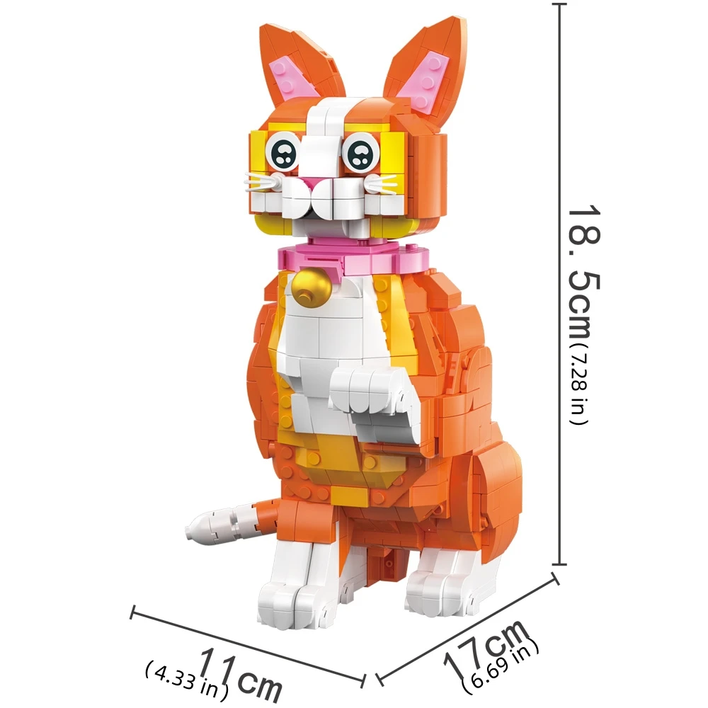 orange-cat